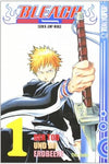 Bleach 01