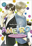 Ameiro Paradox 1-3