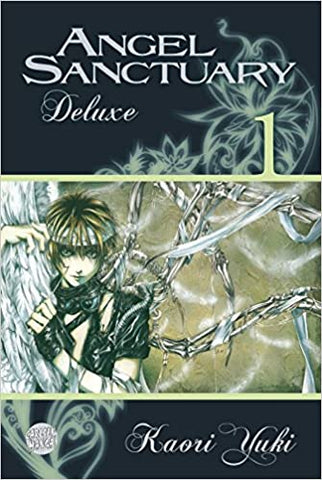 Angel Sanctuary Deluxe 01