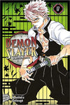 Demon Slayer: Kimetsu no Yaiba 17