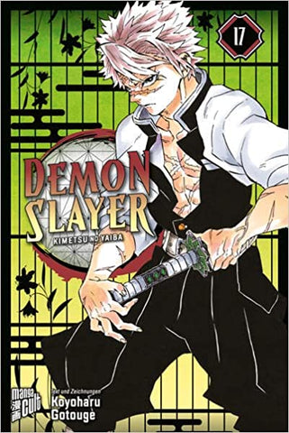 Demon Slayer: Kimetsu no Yaiba 17